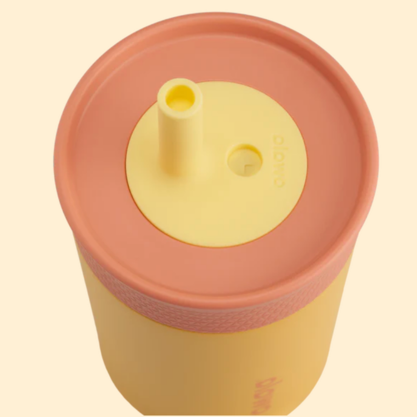 Kids' Tumbler Picnic