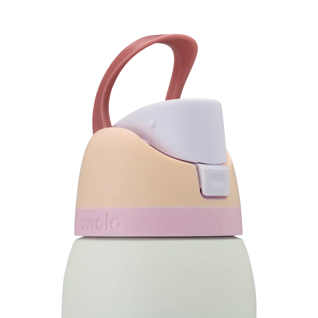 Owala FreeSip 32 oz Coastal Mist