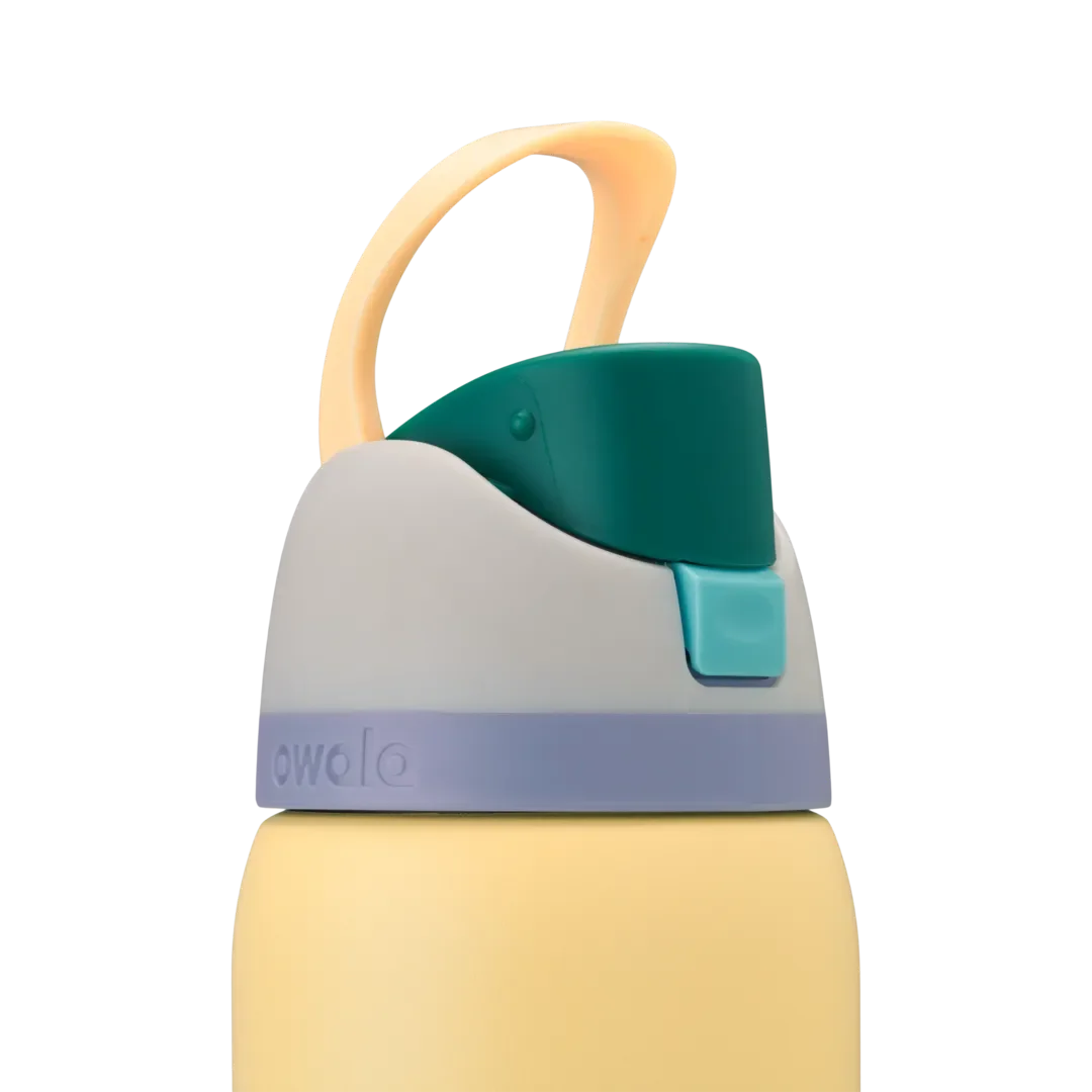 Owala FreeSip 32 oz Sunny Daze