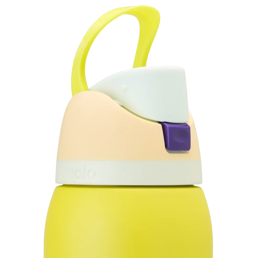Owala FreeSip 40 oz Lemon Limeade